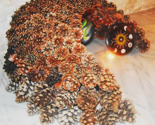 Fibonacci and Fables 2017 by Priya Odedra