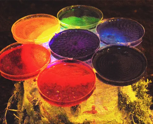 The Unseen 2017 by Priya Odedra